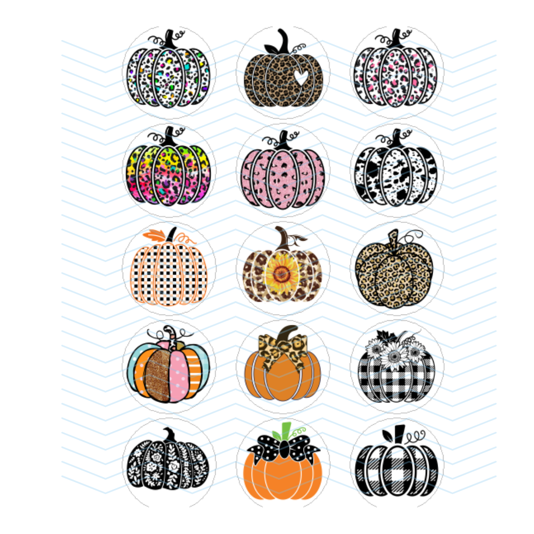 PUMPKIN COLLECTION