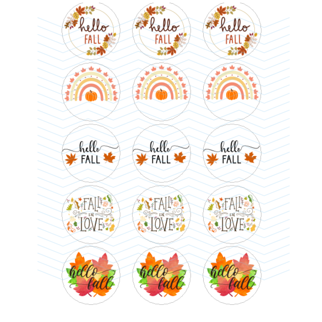HELLO FALL/FALL IN LOVE