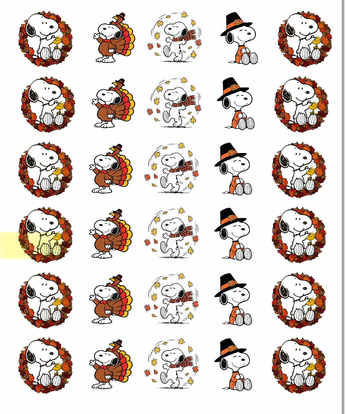 A white dog Thanksgiving