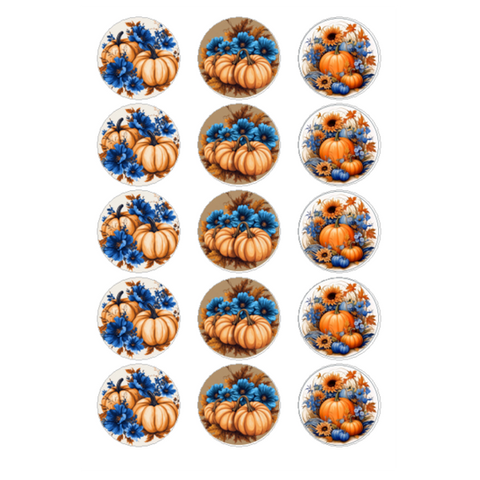 PUMPKINS AND BLUE FLOWERS