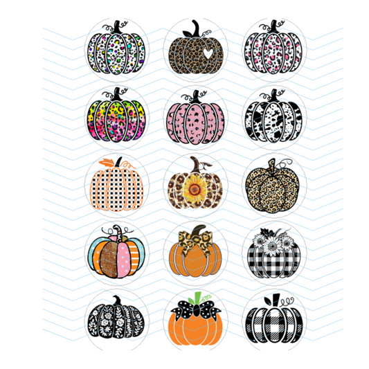 PUMPKIN COLLECTION