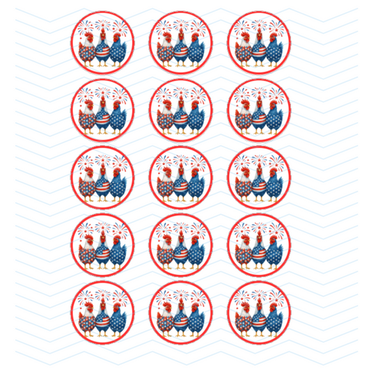 4TH OF JULY CHICKS