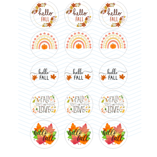 HELLO FALL/FALL IN LOVE