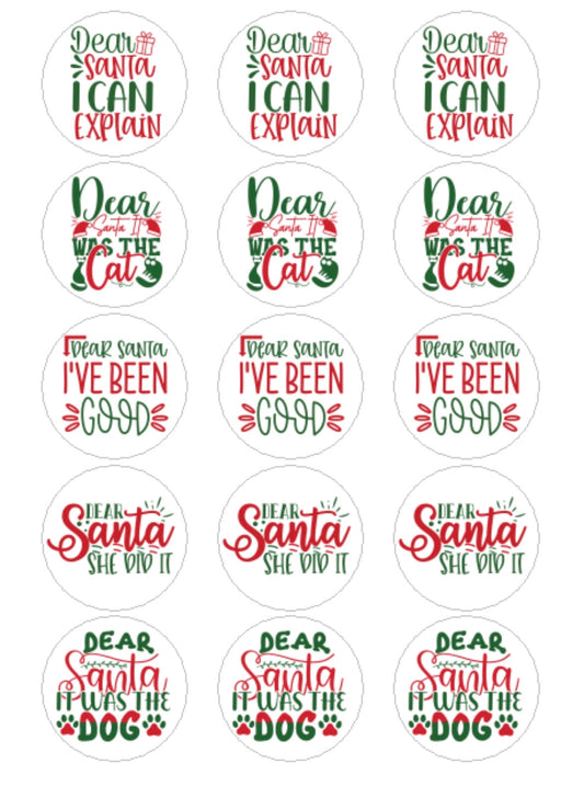 Dear Santa It Wasn’t Me