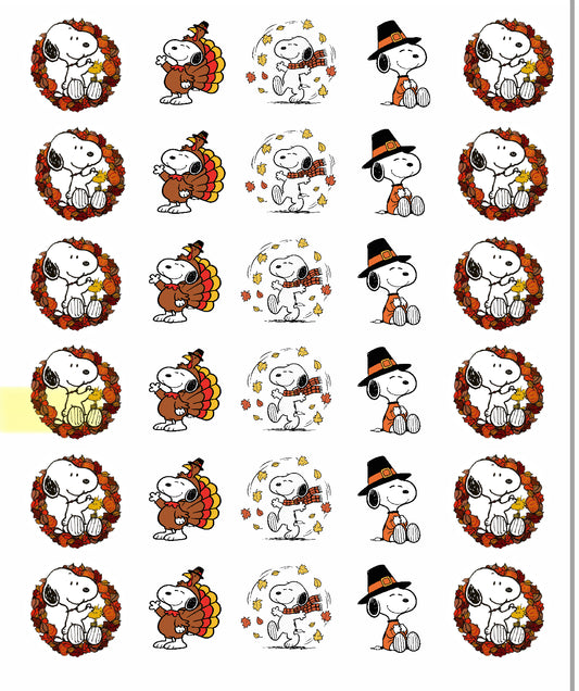 A white dog Thanksgiving