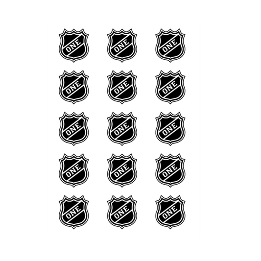 ONE HOCKEY PUCK BIRTHDAY