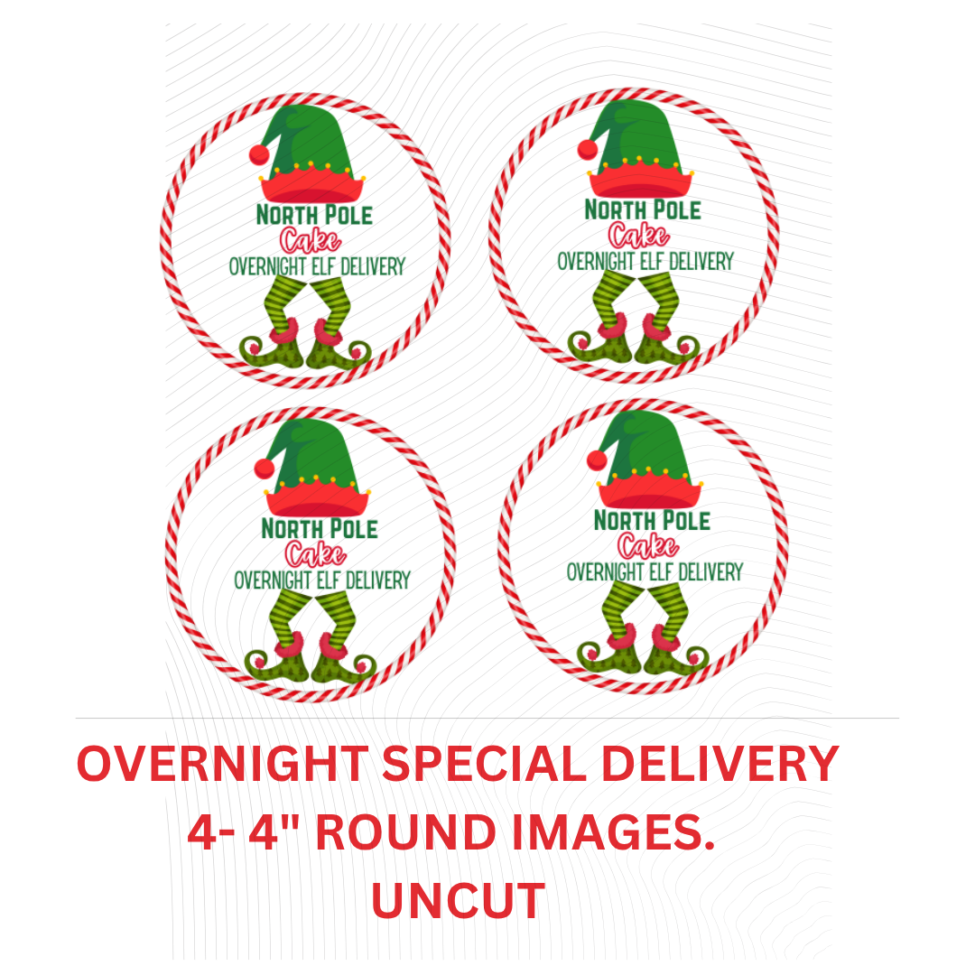 Elf Special Delivery- Cake