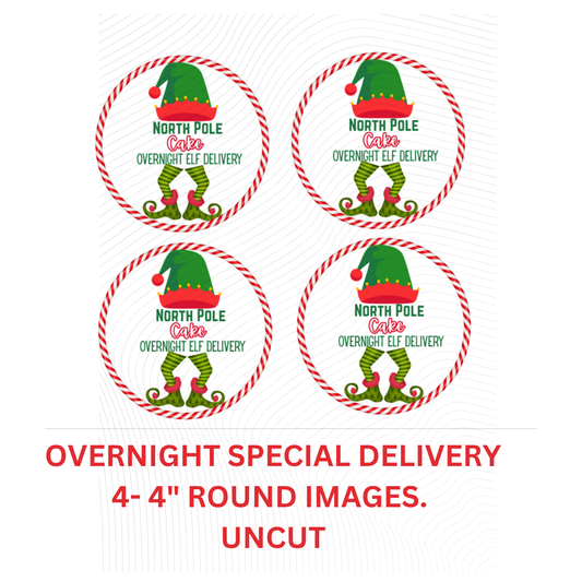Elf Special Delivery- Cake