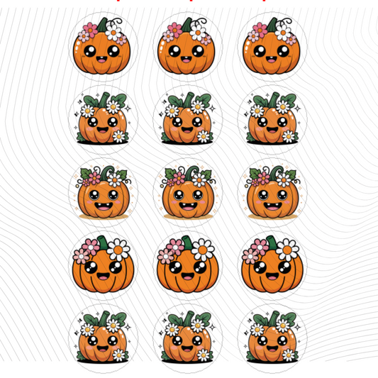 Baby Pumpkins